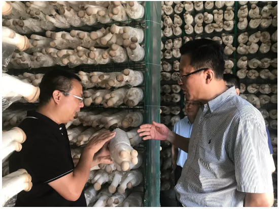 20190910161020_4638.png 20190910161020_4638.png