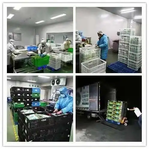 20210810185924_1453.png 20210810185924_1453.png