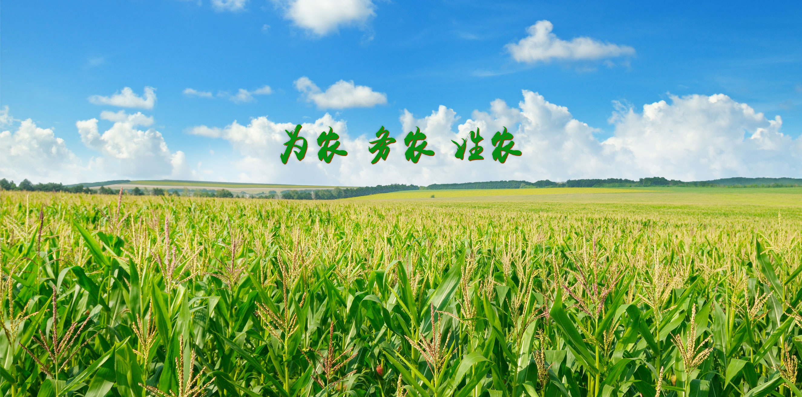 為農(nóng)、務(wù)農(nóng)、姓農(nóng)