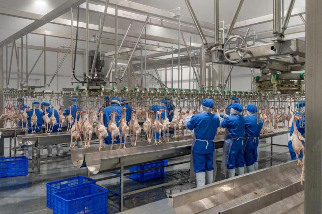 640 (3).png 640 (3).png