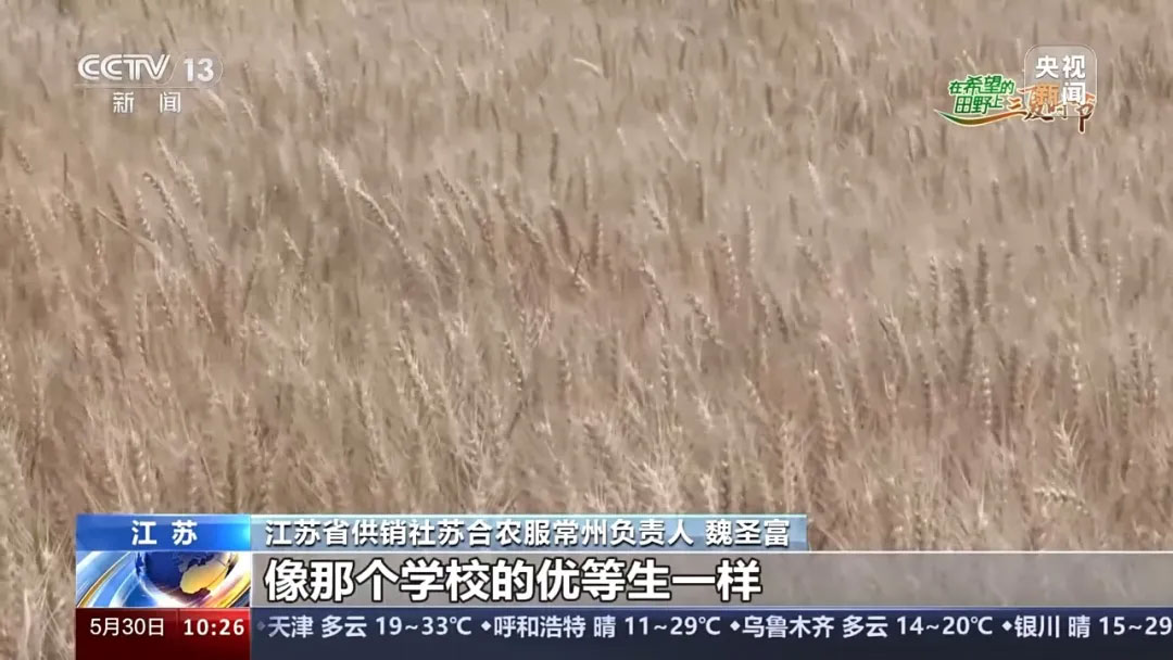 640-(11).jpg 640-(11).jpg