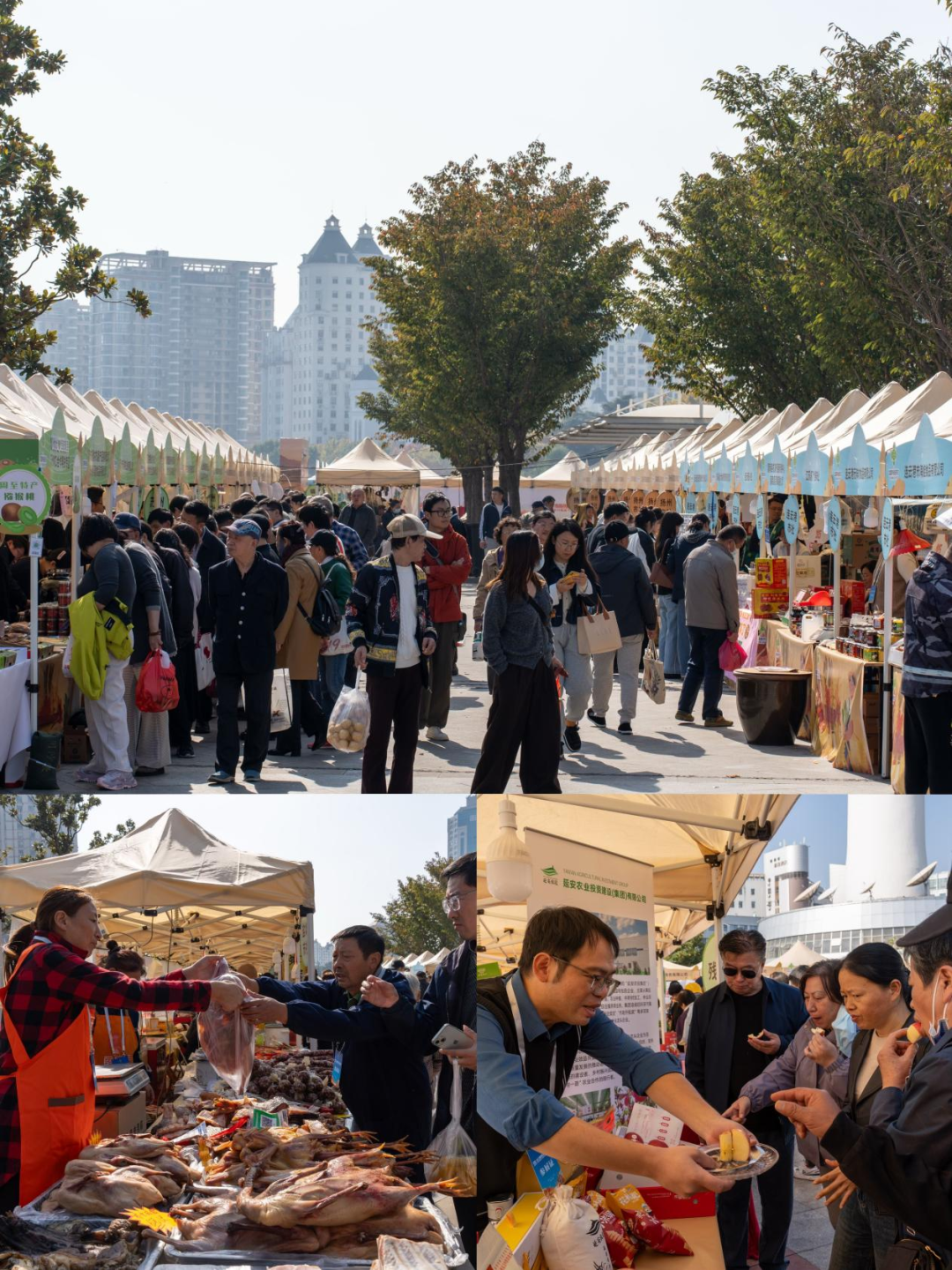 640 (3).png 640 (3).png